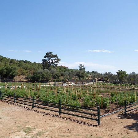 Leone Natural Ayvalı Exteriör bild